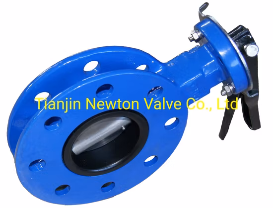 Pn6 Pn16 Pn25 JIS5K 10K 16K Wafer Semi Lug Doule Flange U Type Concentric Line Resilient Seated Soft Seat Butterfly Valves for Marine