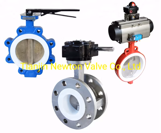 Pn6 Pn16 Pn25 JIS5K 10K 16K Wafer Semi Lug Doule Flange U Type Concentric Line Resilient Seated Soft Seat Butterfly Valves for Marine